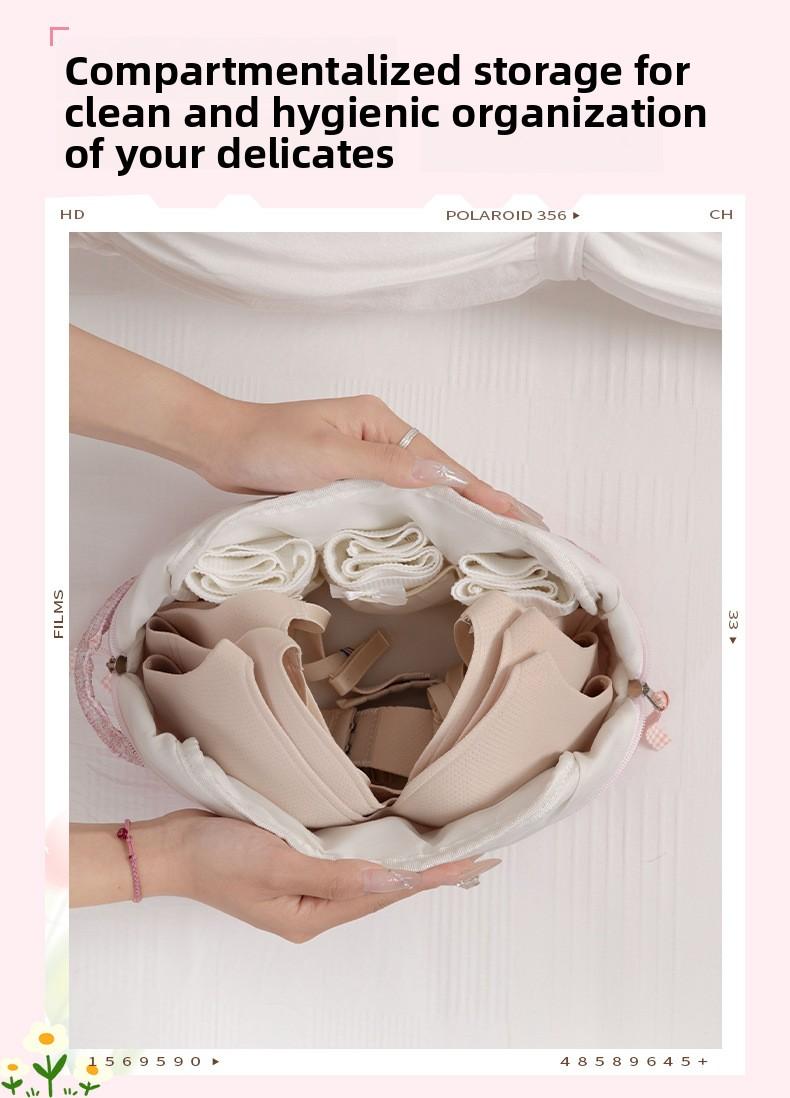 Beilian Underwear Storage Bag, Portable Travel Divided Underwear Storage Bag, Large Capacity Portable Women's Bra Bag