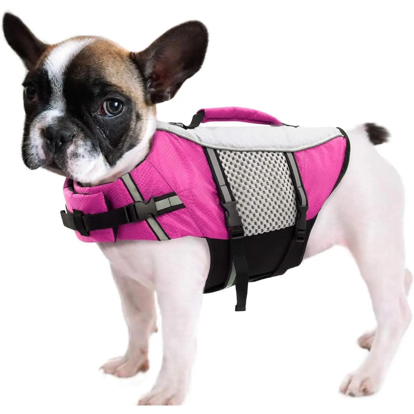 Dog Life Jacket Swimming Vest Small Medium Dogs Neoprene Water Boating Life Preserver Lightweight Reflective Cat Puppy Kayaking Lifesaver for French Bulldog,Yorkie Terrier,Bichon(Pink,S)