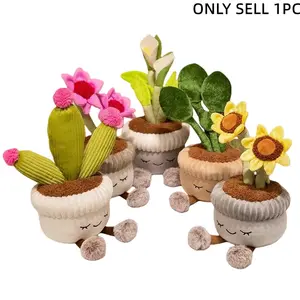 Cute and shy expression plant figurine, available in various colors and varieties: pink and purple rose cactus plant decorations for indoor balconies, perfect for romantic Valentine’s Day gifts, Halloween gifts, Easter gifts, and birthday presents for gf.