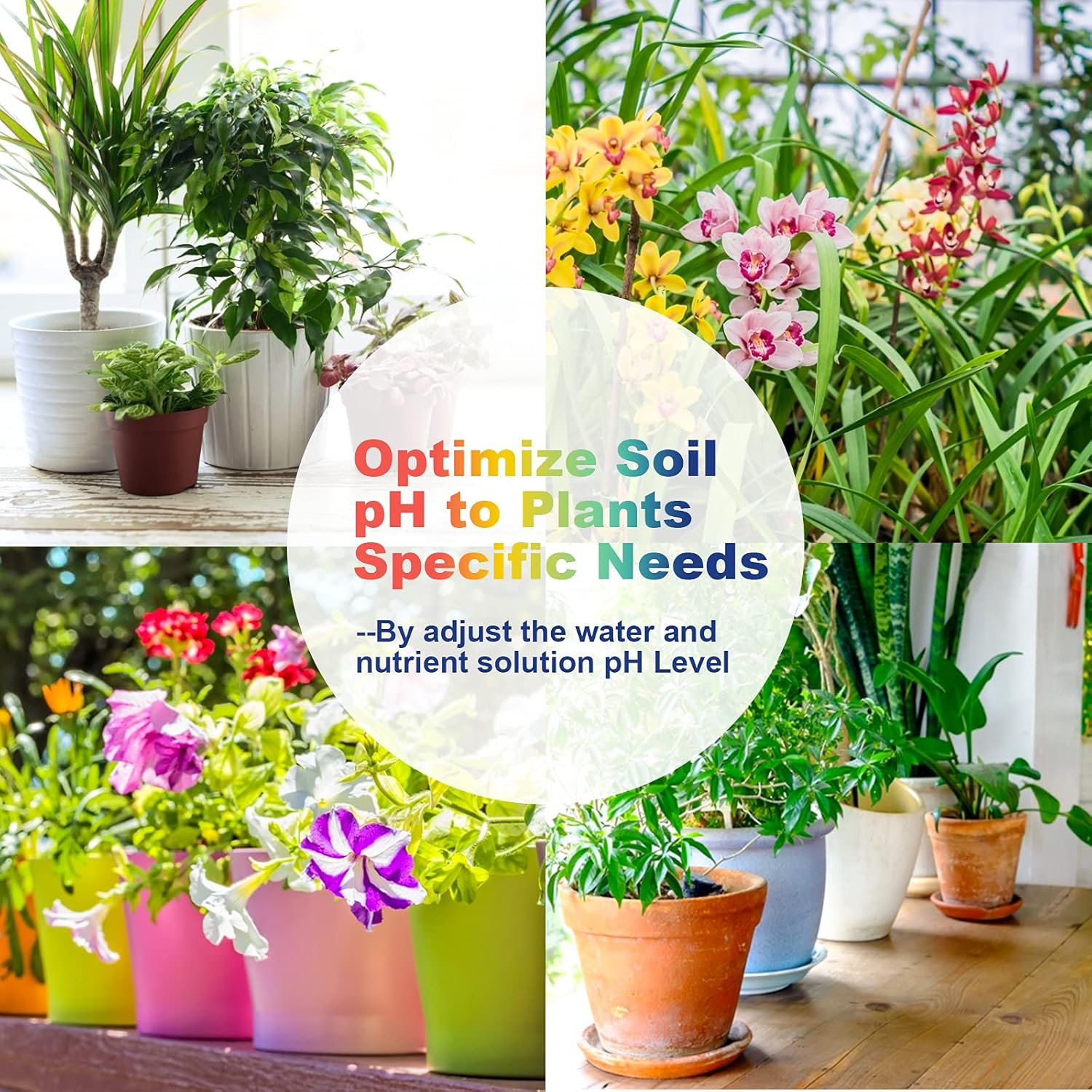 pH Up and Down Control Kit (9oz+9oz), Hydroponics pH Tester Calibration Adjuster Buffer Solution Combo for Soil Gardening  Pool A Balanced Nutrient