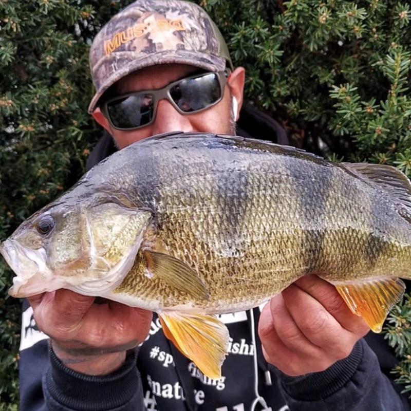 Rock-Green Polarized Sunglasses Rectangular Sunglasses For Men And Women