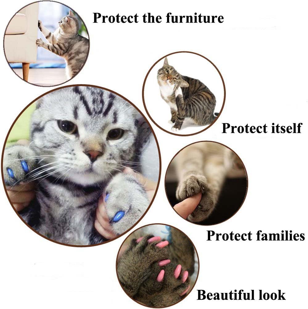 Cat Nail Caps, 100pcs Medium Size 5 Colors with Glue and Applicators, Safe for Cat Claw Care, Protect Homes and Furniture, Prevent Scratch Disease, Long-lasting, Skin-friendly