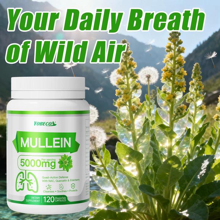 Heaisrlate 5000mg Mullein & NAC Supplement for Mucus Removal, Dry Cough Support, Respiratory Health & Immune Boost, Antioxidant-Rich Formula with Mullein Leaf & NAC for Year-Round Airway Care, Allergen-Free