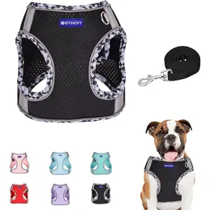 Step-in Mesh Dog Harness and Leash Set, Breathable Air Mesh, Reflective, Escape Proof, No Choke, Lightweight, Black, S(neck:16"-18.5", chest:22"-27"), Sporty Style