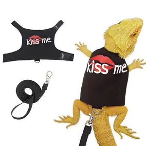 Lizard Night Glow Leash, Reptile Outdoor Harness, Chameleon Squirrel Leash Clothing, Small Pet Supplies, Comfortable & Durable Design