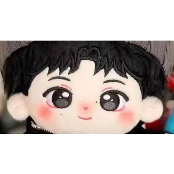 20 cm Idol Doll Enhy Doll Pen BABY KOR Men's Team Group Dress- Up Cottonl Stuffed Plush  Toys for Kids Adult Xmas