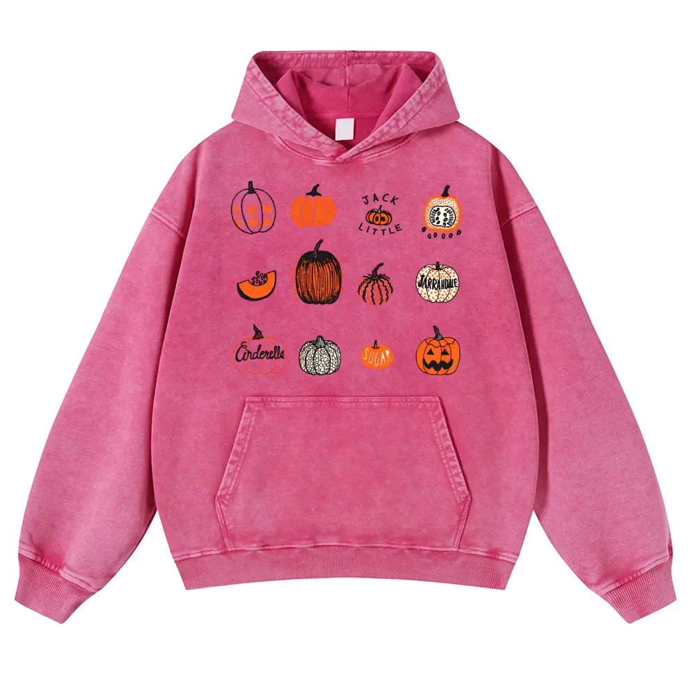Vintage Washed Pumpkin Patch Hoodie Heirloom Pumpkin Varieties Graphic Sweatshirt Oversized Acid Wash Fall Autumn Unisex Pullover