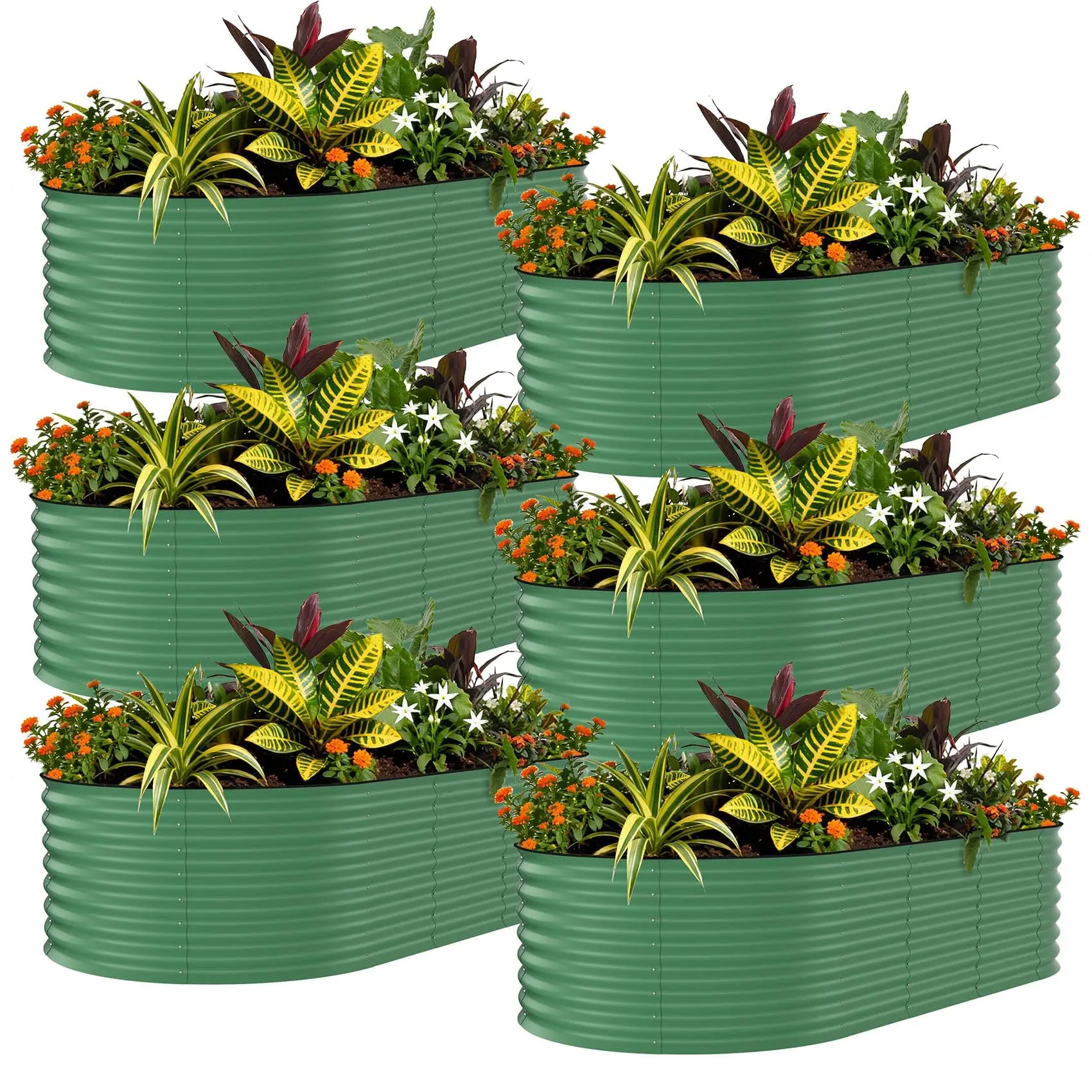 Galvanized Raised Garden Bed Kit Pack - 6 Oval Shape Metal Planter Boxes (8x2x1.5ft), Anti-Cut Edges, Deep Root Design for Outdoor Growing of Vegetables, Flowers