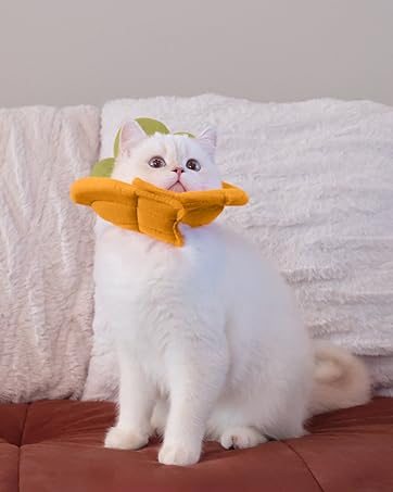 MITTENS Soft Cat Cone, Adjustable Cat Recovery Collar, Elizabethan Collar for Cats