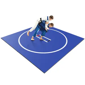 3M X 3M Gymnastics Training Mat Wear Resist Multi Exercise Blanket Anti-Slip Multi-Functional Training Blankets for Grappling Martial Art Boxing Judo