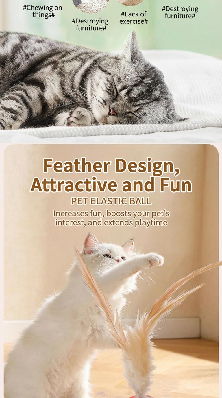 6-Pack Feather Bounce Cat Toys – Interactive Springy Balls for Cats, Basketball/Soccer/Baseball Designs with Soft Natural Feathers, Solo-Play Toys to Activate Hunting Instinct, Relieve Boredom & Anxiety, Safe Durable for Kittens & Adult Cats