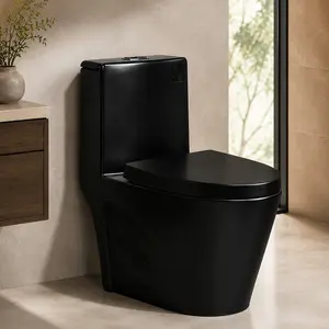 Black Ceramic One-Piece Toilet, Dual-Flush 1.1/1.6 GPF Water-Efficient Elongated Comfort Height Floor Mounted Standard-Size Toilet with Soft Closing Seat, ADA Compliant, Siphon Flush, MaP 1000g, for Bathroom, Black Color Options
