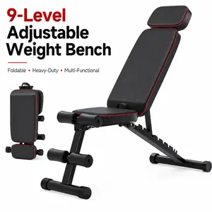 9-Level Adjustable Weight Bench, Foldable Heavy-Duty Fitness Chair for Home Gym Full-Body Workouts, 800 lbs Weight Capacity, Pink
