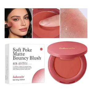 Single Color Blush Palette, Soft Focus Matte Finish, Flawless Long-Lasting Coverage, Easy Blendable, Smooth Texture, Natural Look, Makeup