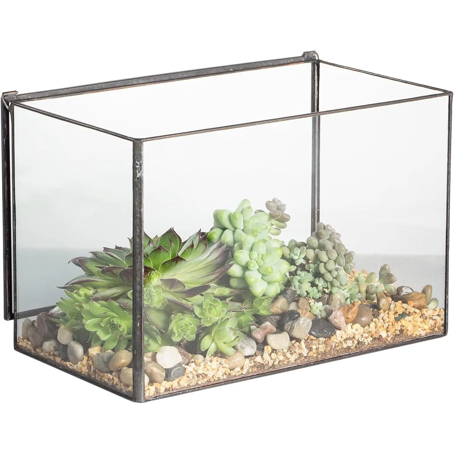 6.7 x 4 x 4.8 Inch Small Glass Terrarium Planter with Lid, Clear Glass Box Container for , Air , Moss, Ferns, Cactus, Tabletop Display Decor, Rectangle (No )