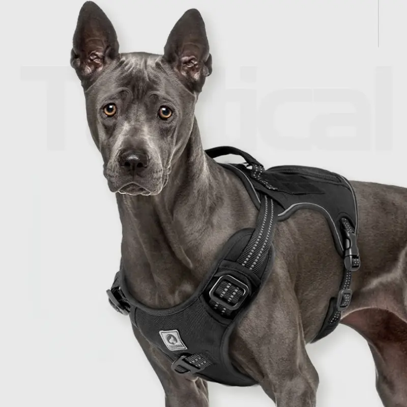 Tactical Dog Leash & Harness Combo for Medium to Large Dogs, Strong Heavy-Duty No-Pull Design, Ideal for Training & Outdoor Adventures