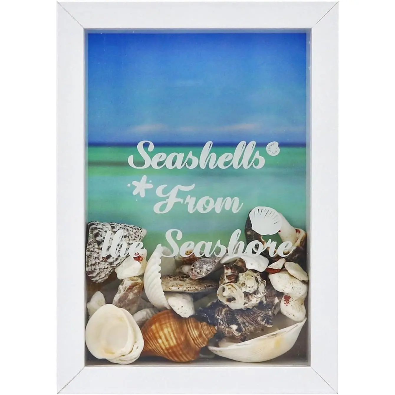 5x7 Seashell Display Case with Real Glass (White) | Shadow box for shells, agates,  , starfish & trinkets, wall or tabletop, ideal beach decor display case