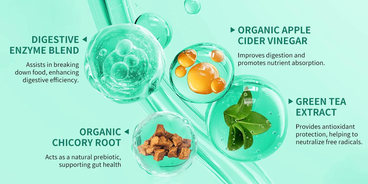 Billion CFU 6 Strains  Prebiotics  Probiotics for Women Seed Probiotics Live Probiotics Supports Gut Health Digestive Function & Immune Support Promotes Healthy Digestion Gut Microbiome Balance for All Individuals