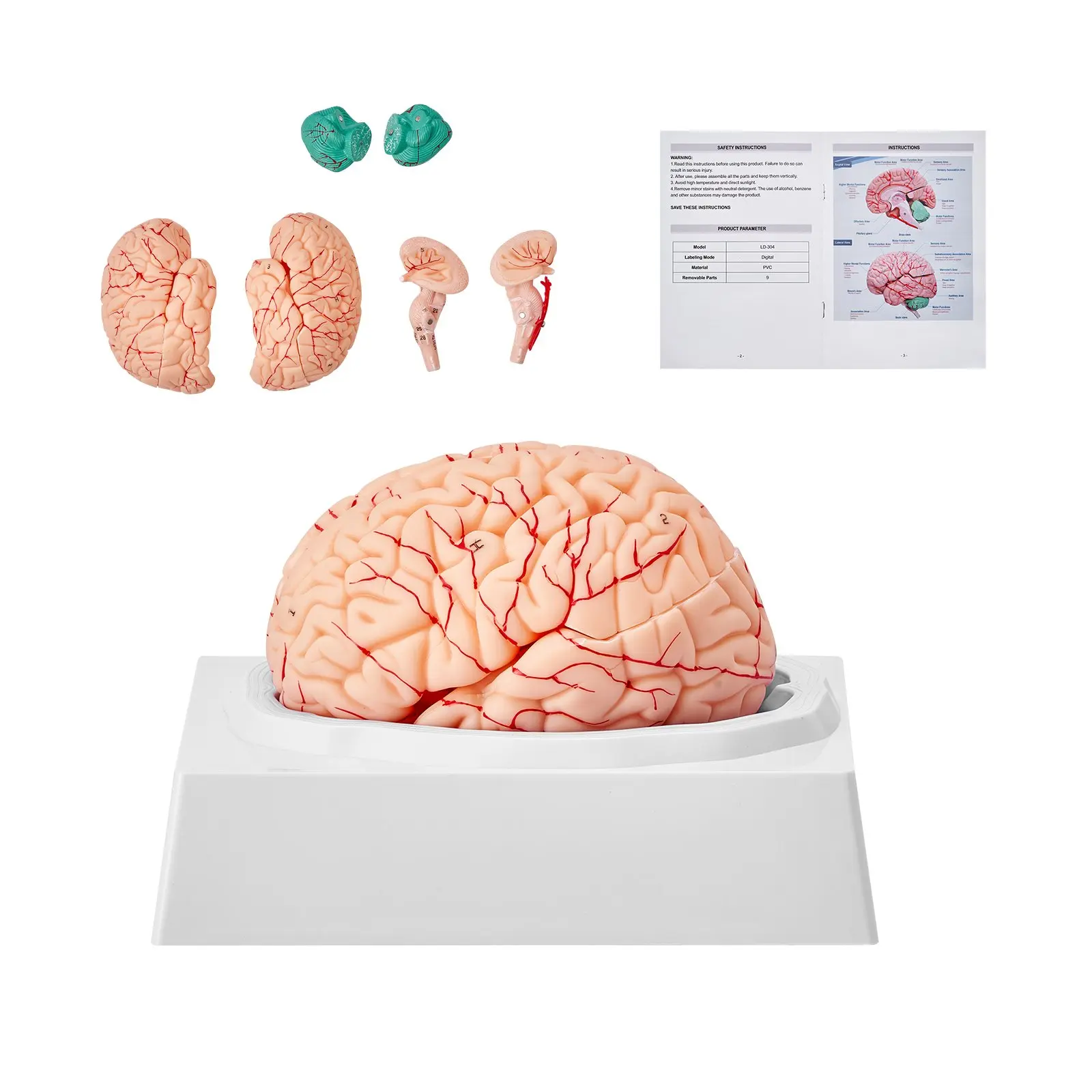 【DealsForYouDays】VEVOR Human Brain Model Anatomy, 1: 1 Life-Size 9-Part Human Brain Anatomical Model with Labels Display Base, Detachable Brain Model for Science Research Teaching Learning Classroom Study Display