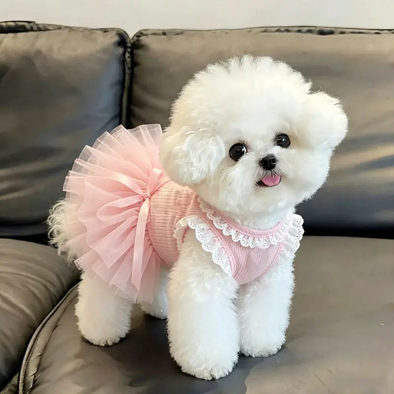 Summer Thin Cute Dog Princess Tutu Dress with Lace Trim, Breathable Puppy Clothes Harness Dress for Small Dogs, Walkable Leash Dresses for Bichon Frise Poodle Schnauzer