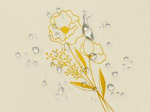 Aesthetic Spiral Notebook Set 3, 6 x 8 Pastel Notebook with Pocket 3, A5 Small Tear Out Lined Page Cute College Ruled Journal for Note Taking Writing for Women Man School Office Work