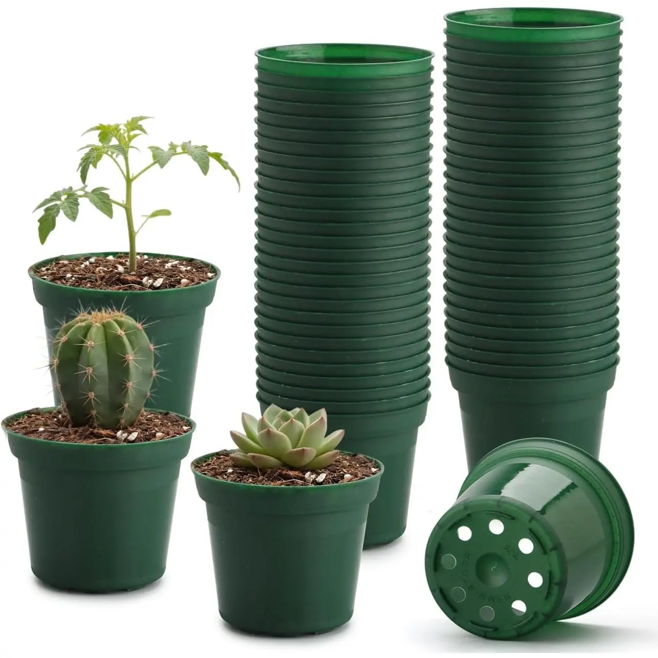 3 Inch Plastic  Pot with Drainage, Raised Base - Green Flexible Planters for Seedlings, 50 Pack, Durable & Lightweight for Indoor/Outdoor Gardening​