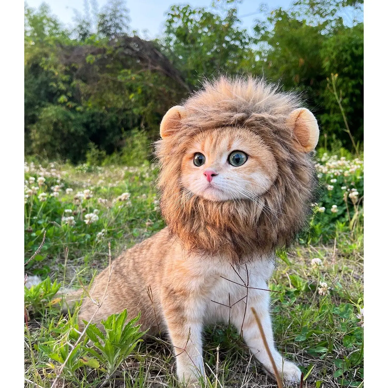 Lion Mane Wig for , and  Costume,Funny   Costumes for Halloween Christmas, Parties, Photo Shoots (Size M, Melange Brown)