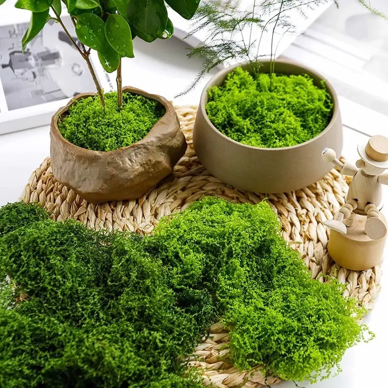 1 pack of Fake Moss - Artificial Moss for Plants Indoor Faux Grass for Planters Fake Grass Decor for DIY Decorating Craft Art Potted Wedding Accessories Fairy Garden Accessories, Decorative Ornaments, House Plants Decor