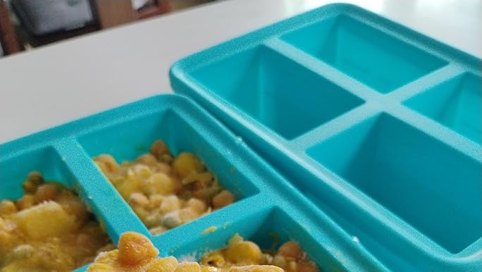 1 Cup Silicone Freezer Trays with Lid, 2 Ice Cube Freezer Molds, Silicone Ice Cube Tray, Easy Meal Prep, Silicone Mold for Soup and Food Storage Stainless Steel