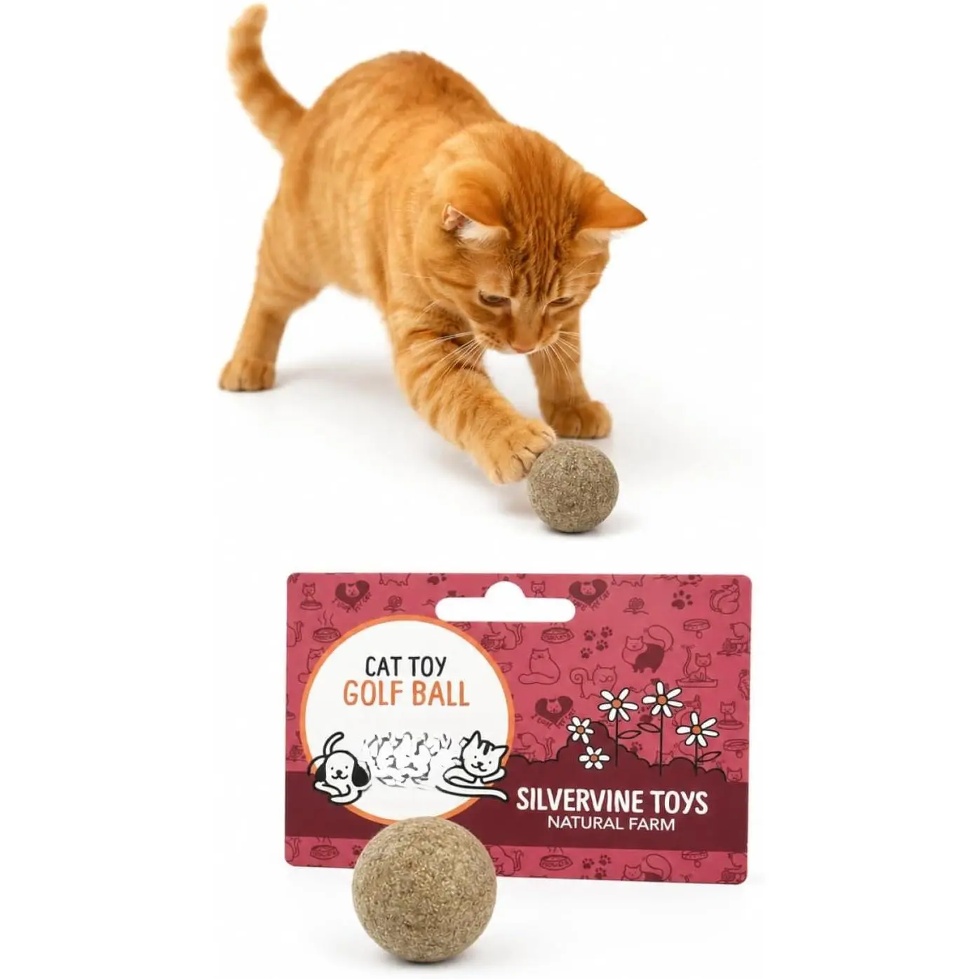 Silvervine Ball   –   Silvervine from South ,  Golf-Style Interactive   for Indoor Cats, Play, Chewing &  Enrichment