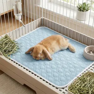 1PC Summer Reusable Small Pet Waterproof Pad, Waterproof & Absorbent Hamster & Rabbit Pet Bedding Mat, Cage Liner Sleeping Mat for Small Animals, Washable House Training Pad for Rabbits & Hamsters