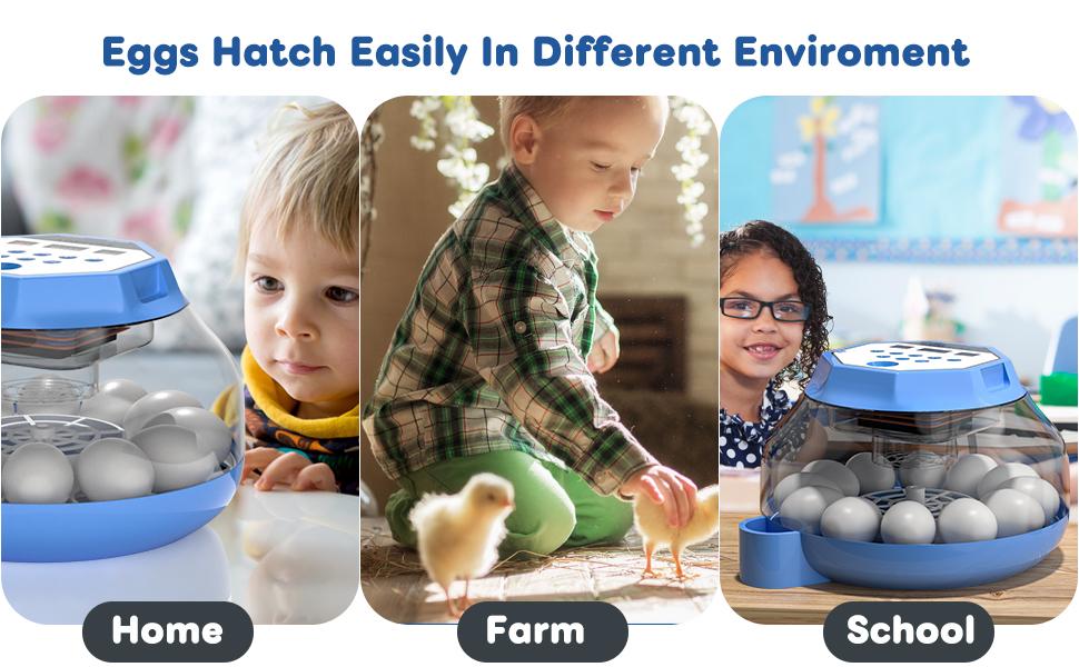 Automatic Egg Incubator For 12-24 Eggs, With Temperature & Humidity Control, Auto Egg Turning, 360 °   View Window For Chicken/Duck/Quail/Turkey Eggs (Built-In Candler & Quiet Design)