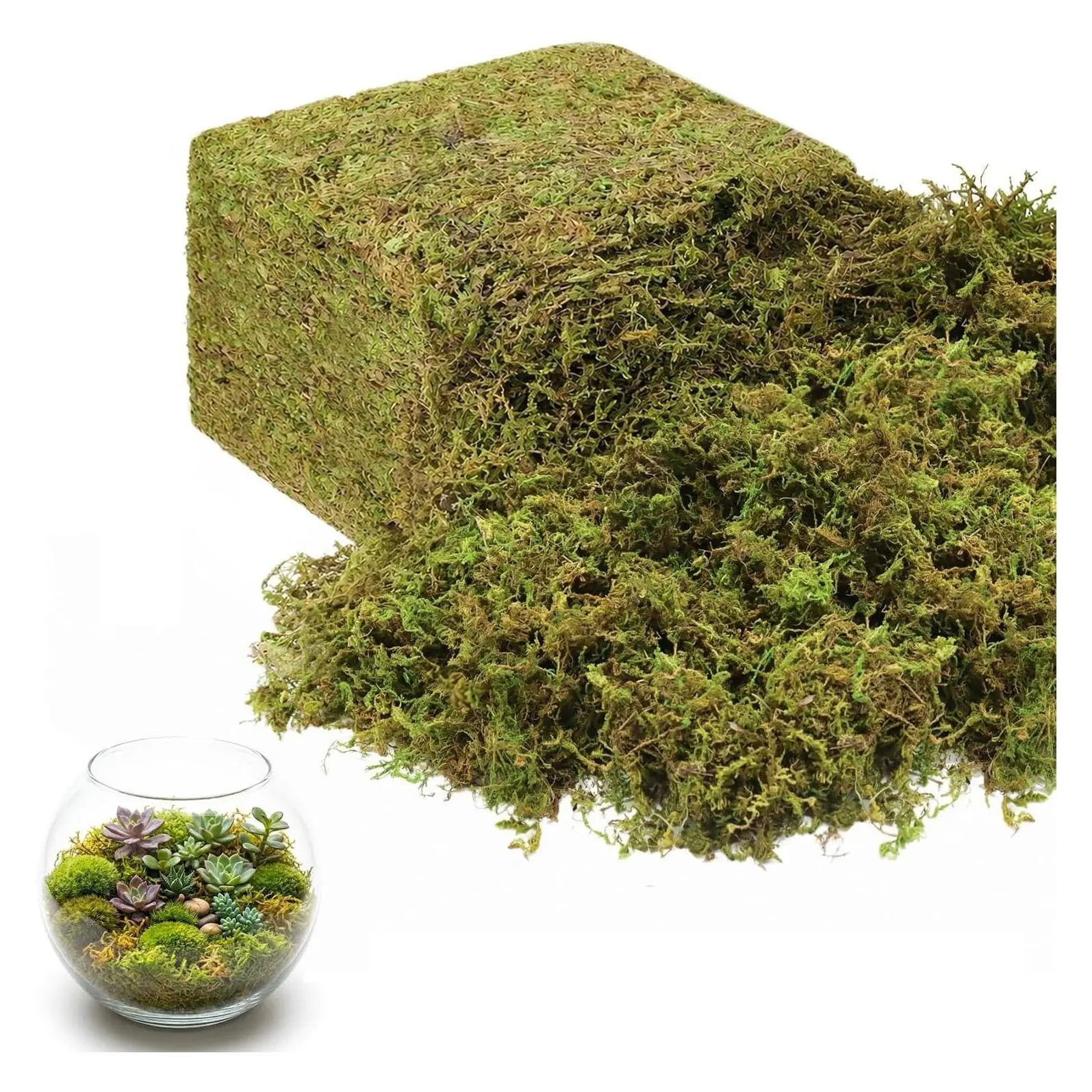 2.6LB Green Moss for Indoor Plants & Craft Decor, Natural Look Decorative Dried Moss for Artificial Plants, Fairy Gardens, Table Centerpieces, Terrariums & Potted PlantsGift