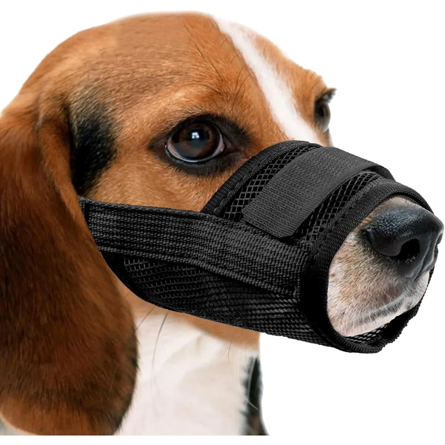 Breathable Nylon Mesh Dog Muzzle with Adjustable Strap, Quick On/Off Design, Prevents Bite & Accidental Eating (M, Black), Breathable Fit