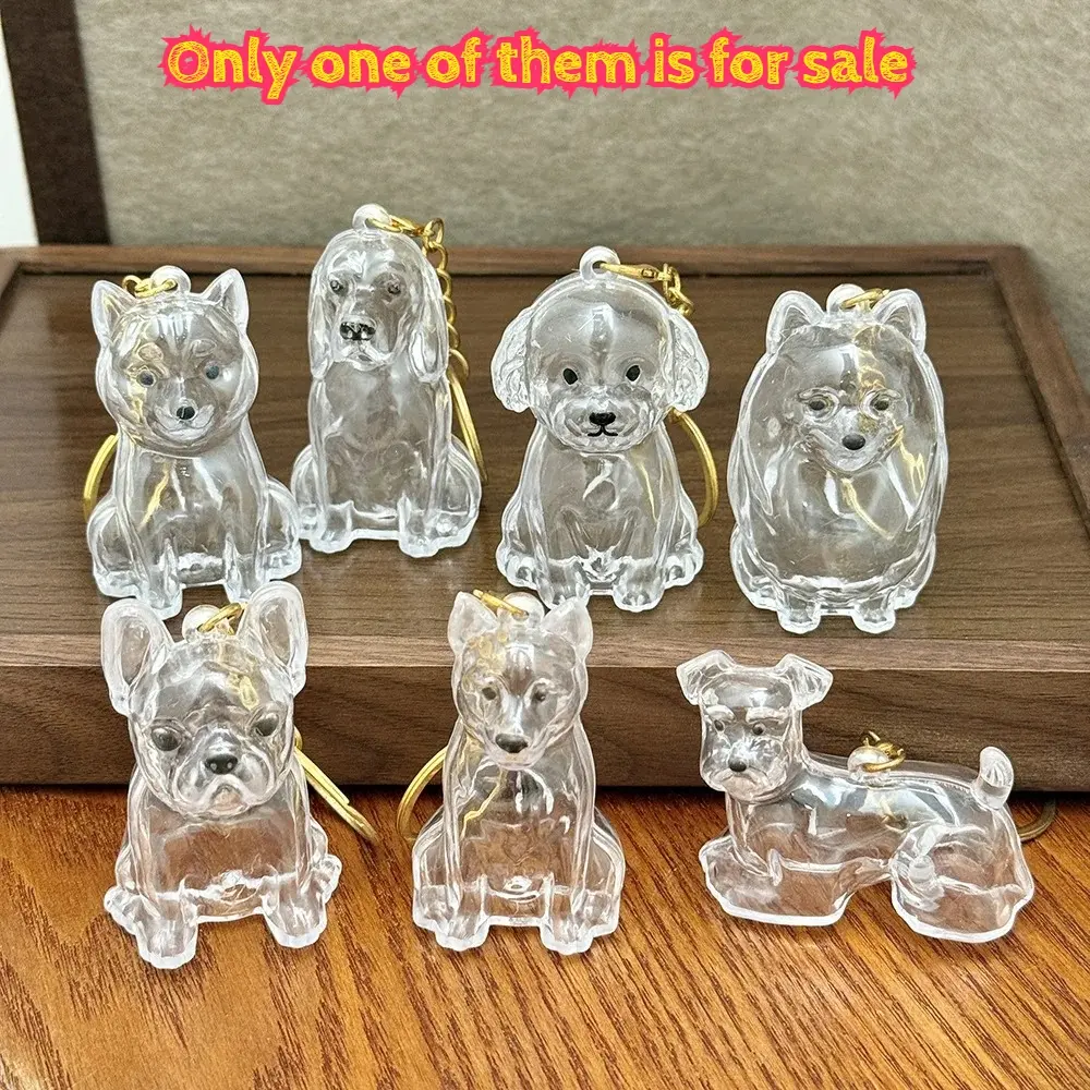 Memory Keychain Creative Cute Dog Keychain Transparent Capsule Pendant Playful Dog Hair Storage Box For Keychains Backpack
