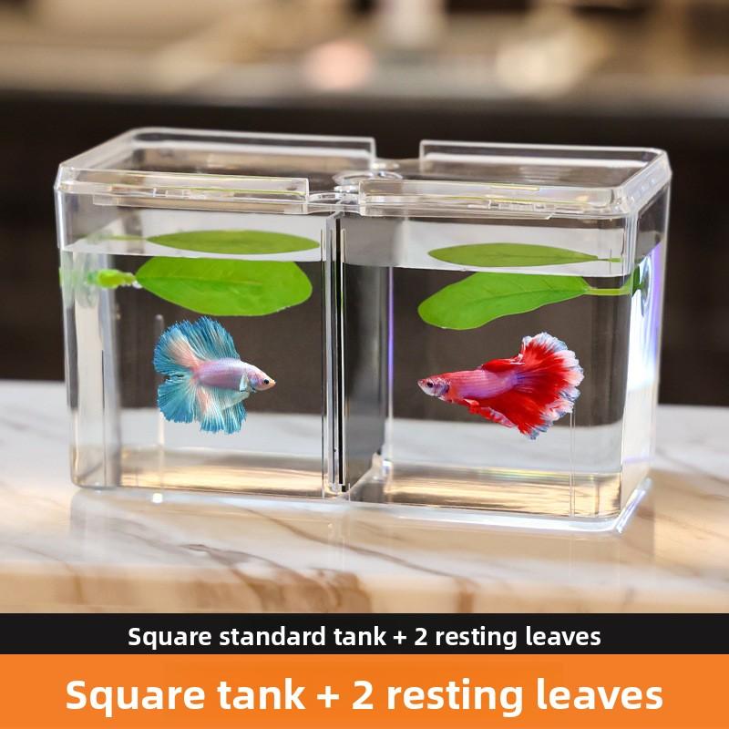 Acrylic Multi Compartment Double Tank Breeding Separation Fish Tank with Dividers Aquarium Table Style Small Fish Tank