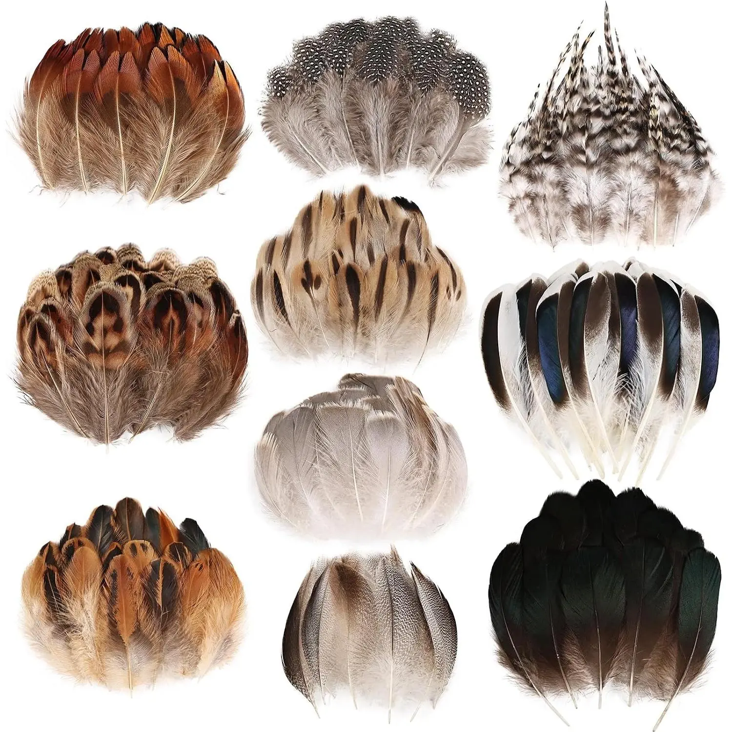 300 pcs Small Feathers - 10 Style Mixed Spotted Decorative Natural Pheasant Feather for DIY Crafts Clothing Jewelry Hair Decoration