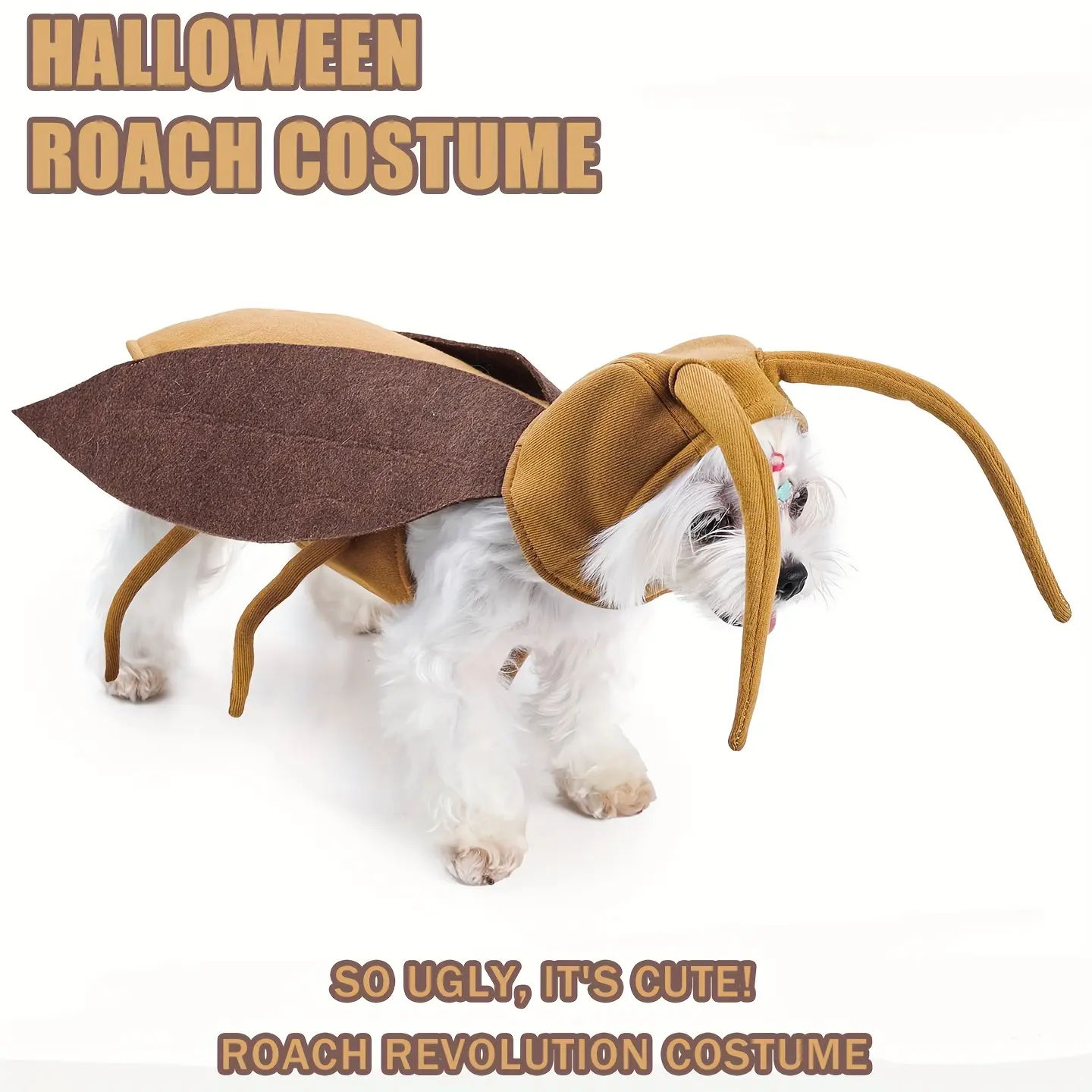 Costume for Pets Resembling a Cockroach, Featuring Adjustable Antennae And Flexible Feelers. This Amusingly Unattractive for Halloween Prank Outfit Comes with Hook-And-Loop Straps Suitable for Dogs And Cats