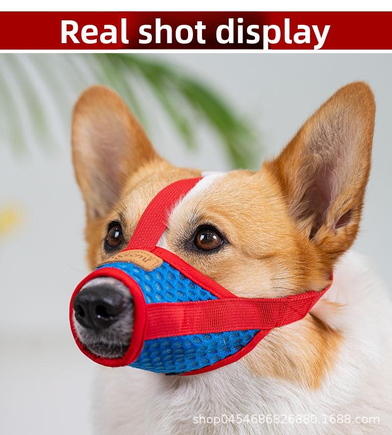 Payment confirmation: Mesh dog muzzle for preventing biting, barking, and eating indiscriminately, secure fit to prevent accidental ingestion and digging