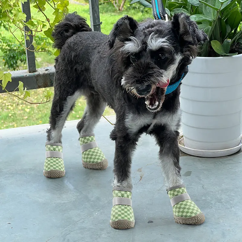 2024 New Dog Shoes Lightweight and Comfortable for Teddy, Poodle, Schnauzer Pets - New Cross-Border Product