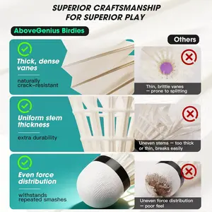 Badminton, a shuttlecock with stability and durability, is suitable for indoor and outdoor backyard practice and training