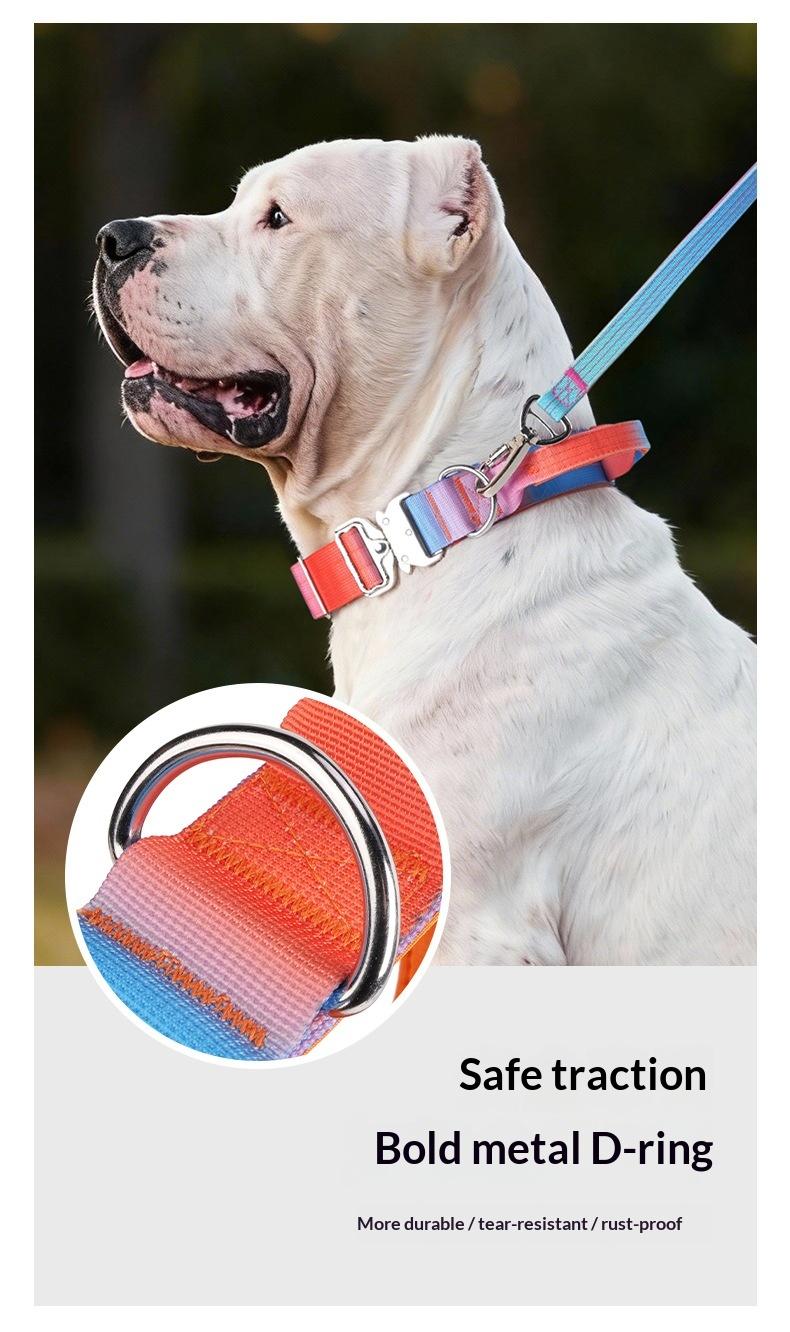 Heavy Duty Tactical Dog Collar with Handle, Adjustable Gradient Pet Collar for Medium Large Dogs