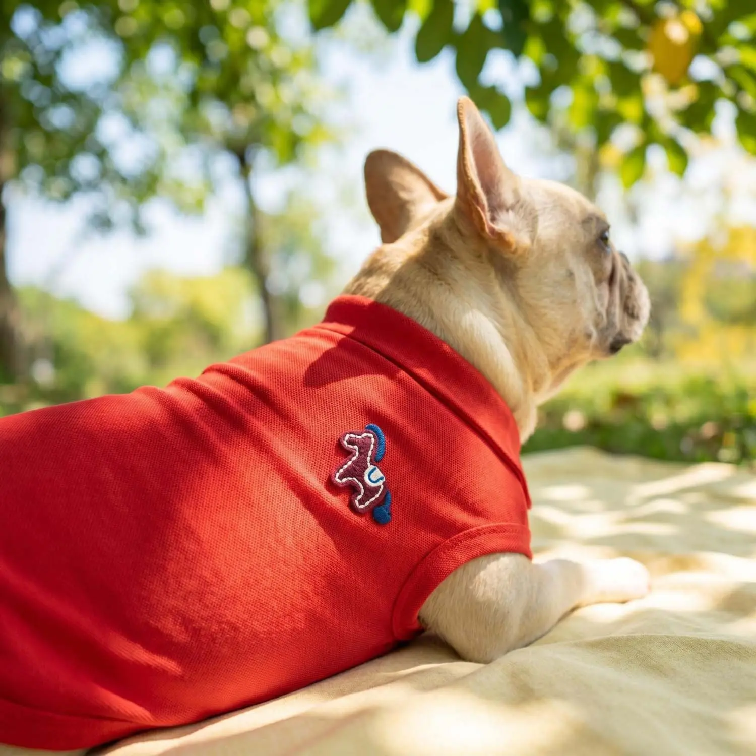 1PC Pony Embroidered Red Polo Dog Sleeveless Vest Faudou Bago Small and Medium sized Dog Spring/Summer Breathable Pet Vest