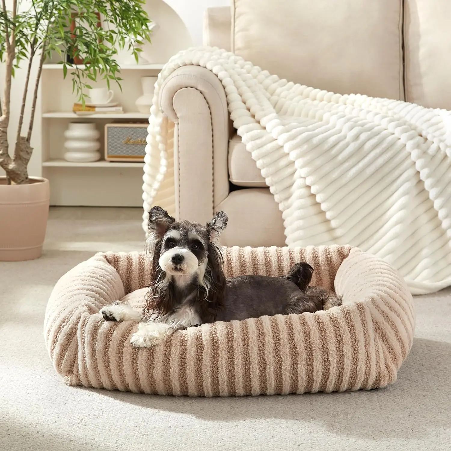 Dog Beds for Small Dogs Cats, Washable Dog Bed with Removable Cover, Soft Calming Cat Bed for Indoor Cats, Rectangle Pet Sofa Bed for Puppy Kitty, Anti-Slip Bottom, 20"x19"x6", Beige