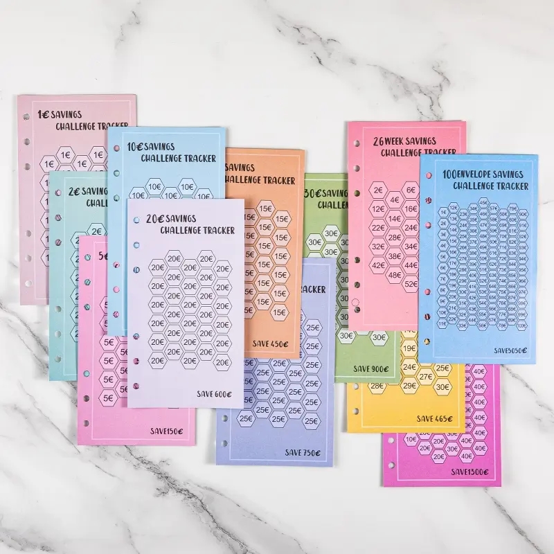 100PCS 6-Hole A6 Savings Challenge Tracker Stickers, Euro & Dollar Version, 52-Week/30-Day/100-Envelope Money Saving Planner for Budgeting & Financial Goal