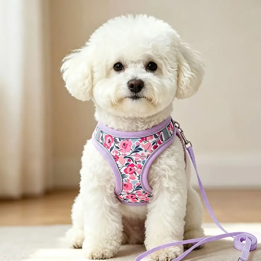 Adjustable Pet Harness and Leash Set, Soft Breathable Mesh Vest with No-Pull Design for Small Dogs, Puppies, Cats and Kittens, Puppy Harness, Hand Washable