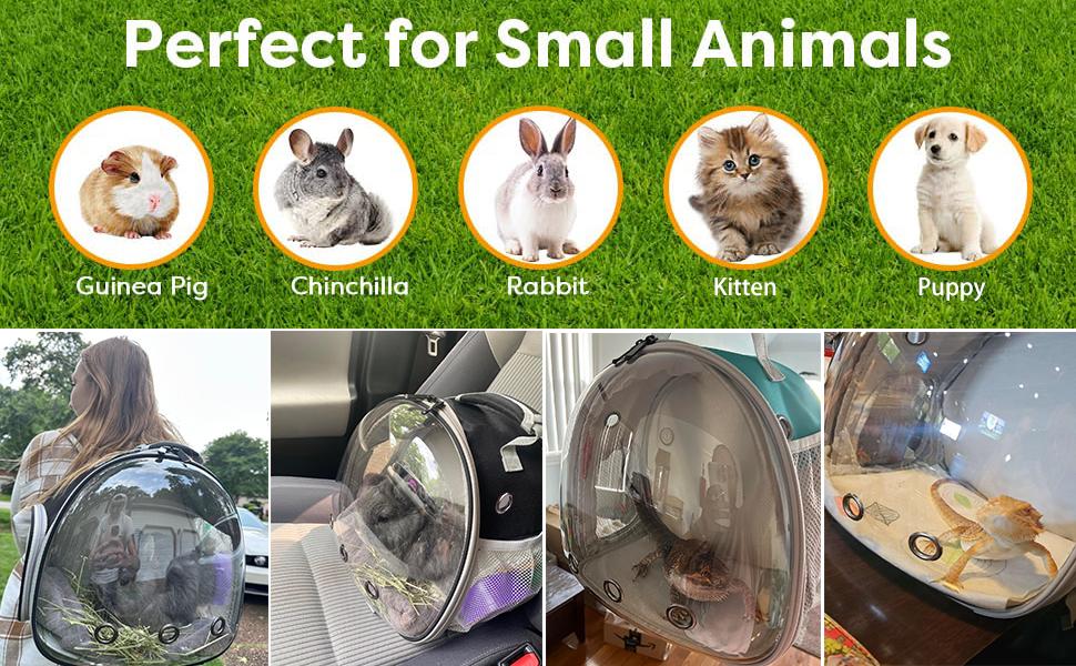 Guinea Pig Backpack, Space Capsule Bubble Window Small Animal Backpack for Guinea Pig, Bird Bunny Rabbit ASTRONAUT REPTILE TRAVEL BACKPACK