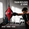 Boxing Speed Ball, 1 Set Punching Bag with Accessories, Boxing Training Equipment for Home Gym, Punching Bag for Speed, Agility & Reflex Training, Boxing Speed Trainer, Boxing Training Gear