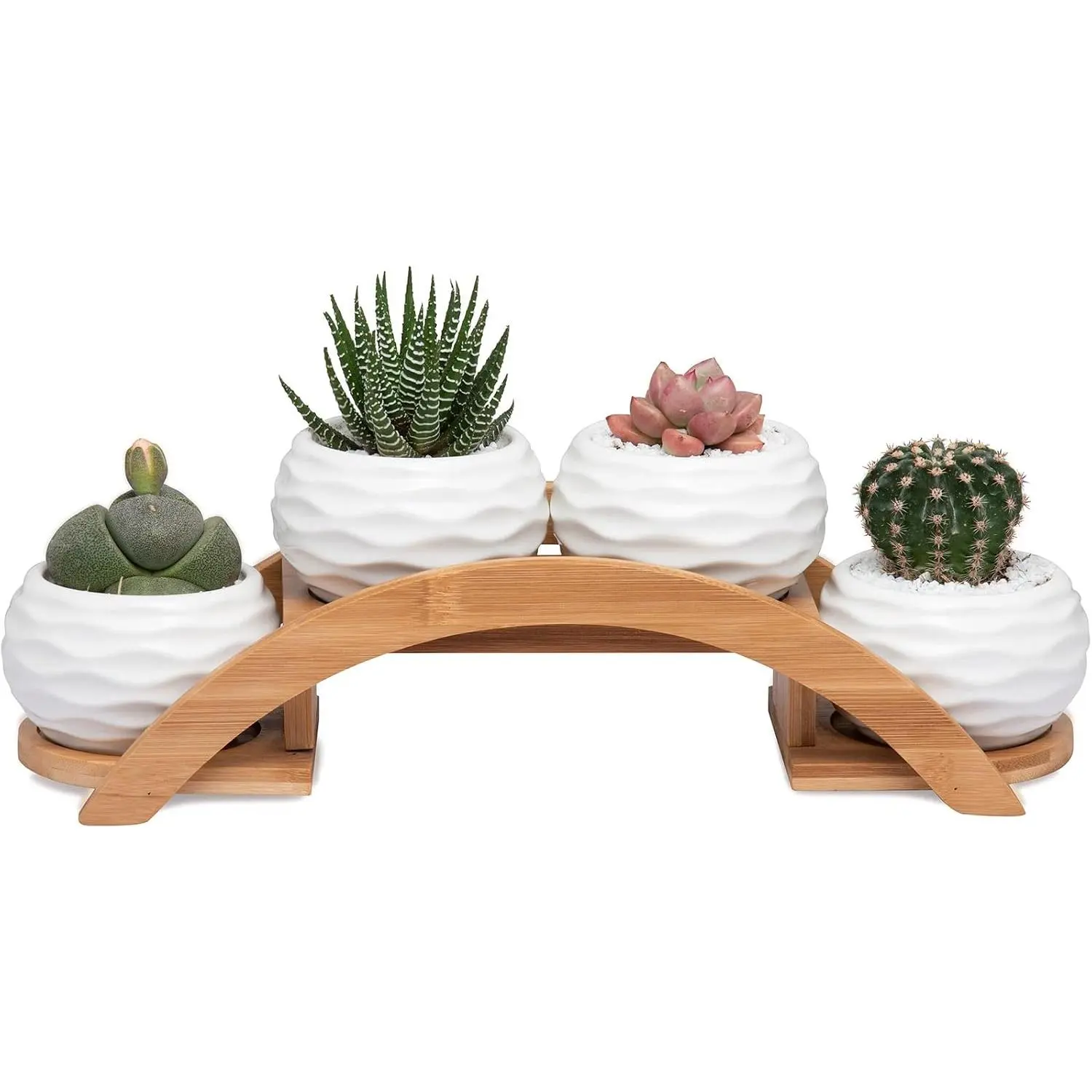 Succulent Pots and Stand Set, Ceramic White Succulent Planter Pot with Drainage, Pack of 4, Cute Office Garden Indoor Decoration,  Not Included