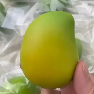Handmade Crispy Mango Stress Ball, Fidget Toy Crunchy Squeeze Ball, Round Blocks Filled Asmr, Anti Stress Toys for Adults